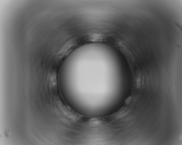 X0000103310620200809051546