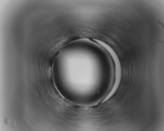 X0000103310621200809051546