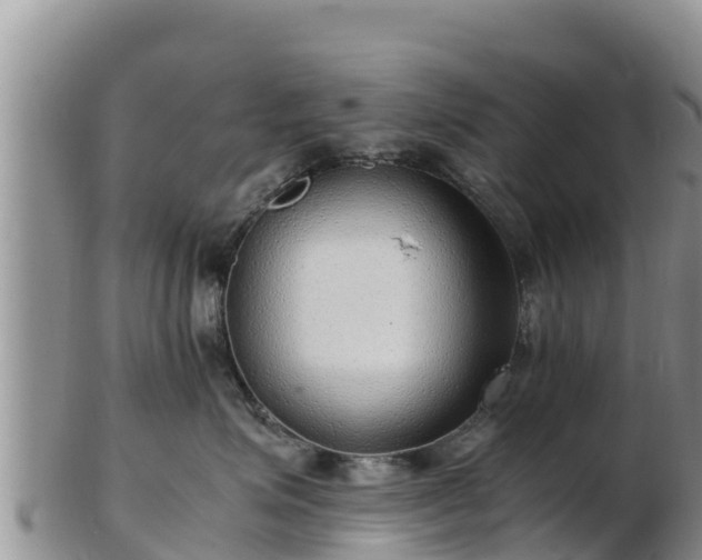 X0000103310623200809051546