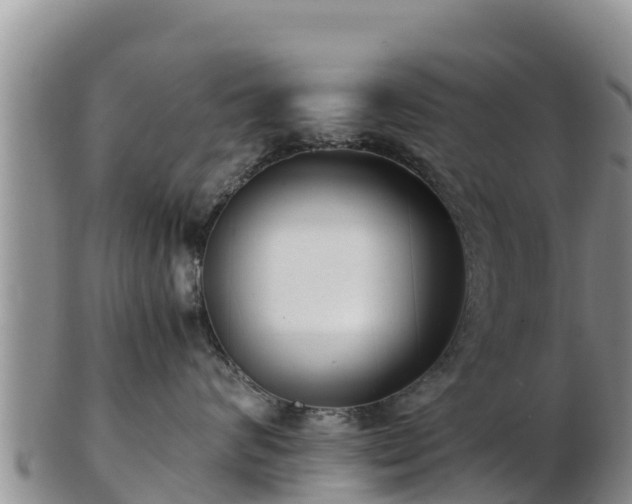 X0000103310624200809051546