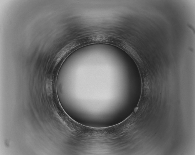 X0000103310626200809051545