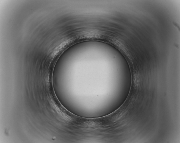 X0000103310629200809051545