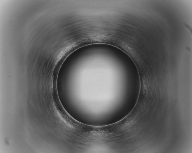 X0000103310630200809051545
