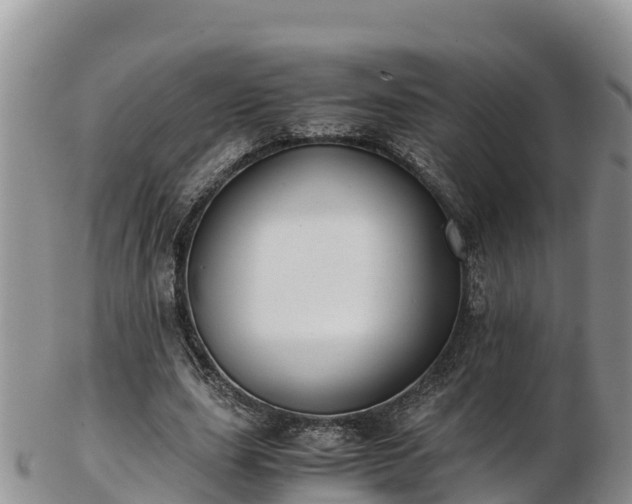 X0000103310631200809051545
