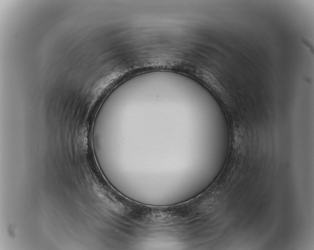 X0000103310632200809051545