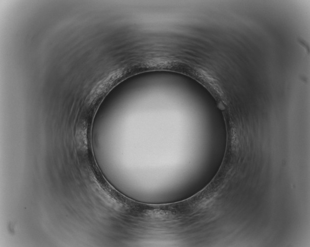 X0000103310633200809051545