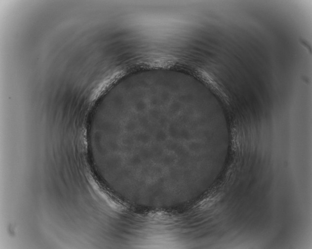 X0000103310634200809051545