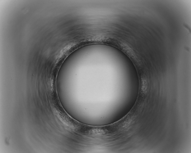 X0000103310636200809051545