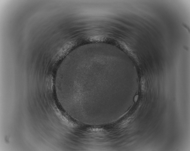 X0000103310637200809051545