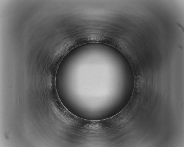 X0000103310639200809051545