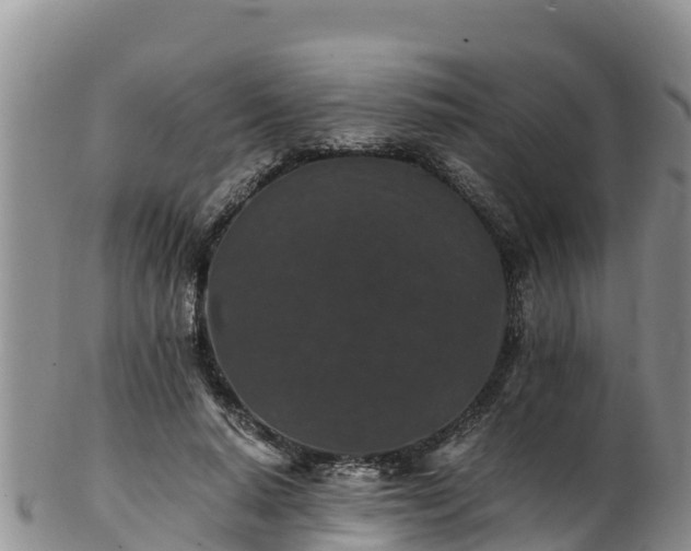 X0000103310640200809051545