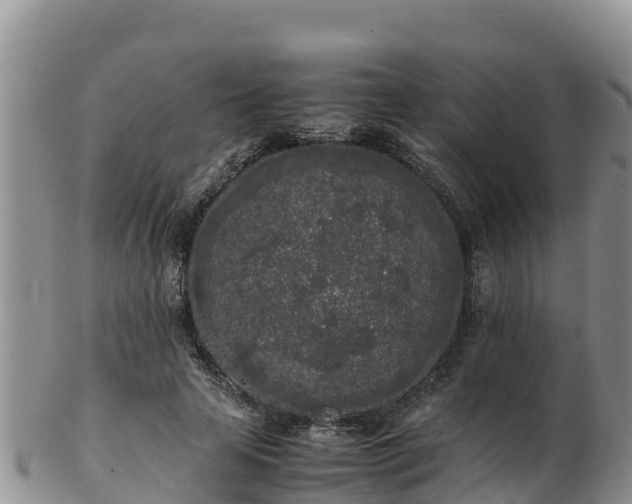 X0000103310641200809051545