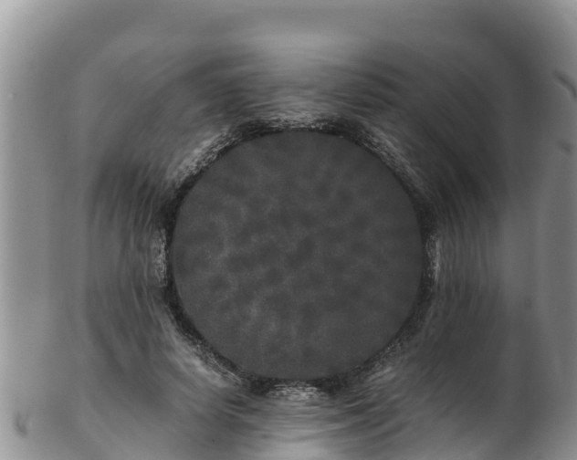 X0000103310642200809051545