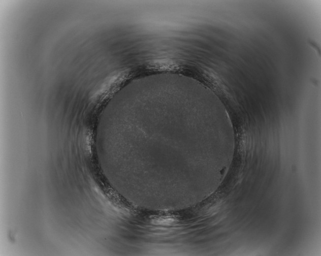 X0000103310643200809051545