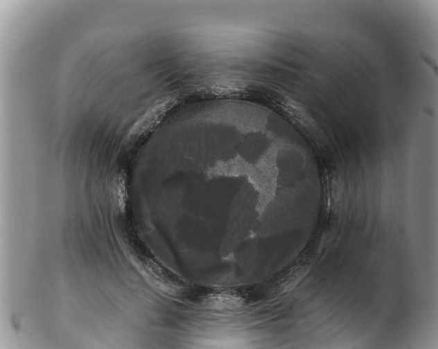 X0000103310644200809051545