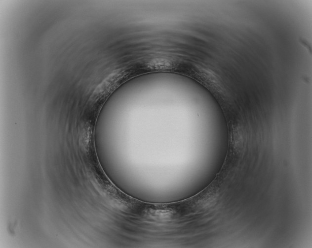 X0000103310645200809051545