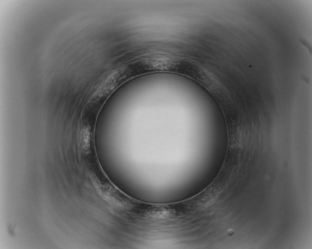 X0000103310646200809051545