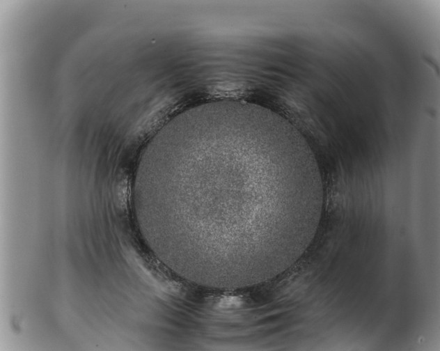 X0000103310647200809051545