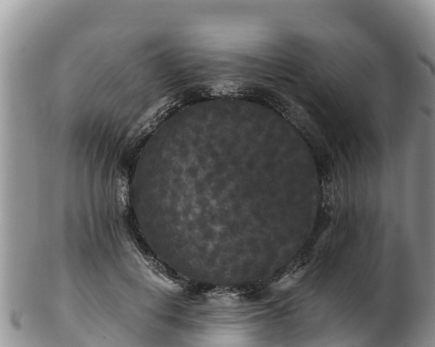 X0000103310648200809051545