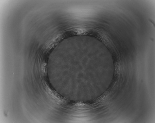 X0000103310650200809051545