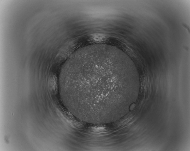 X0000103310651200809051546