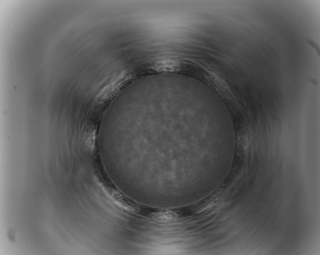 X0000103310652200809051546