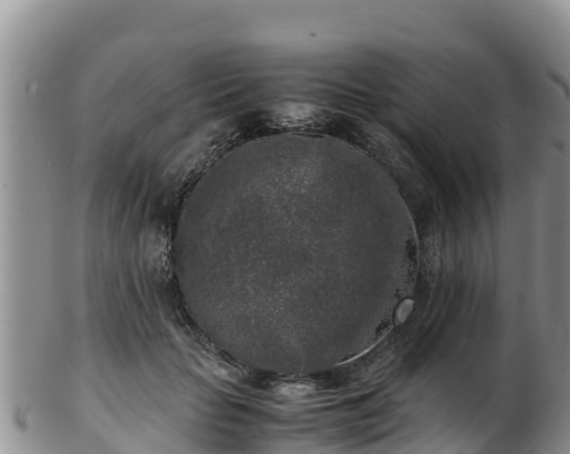 X0000103310653200809051546
