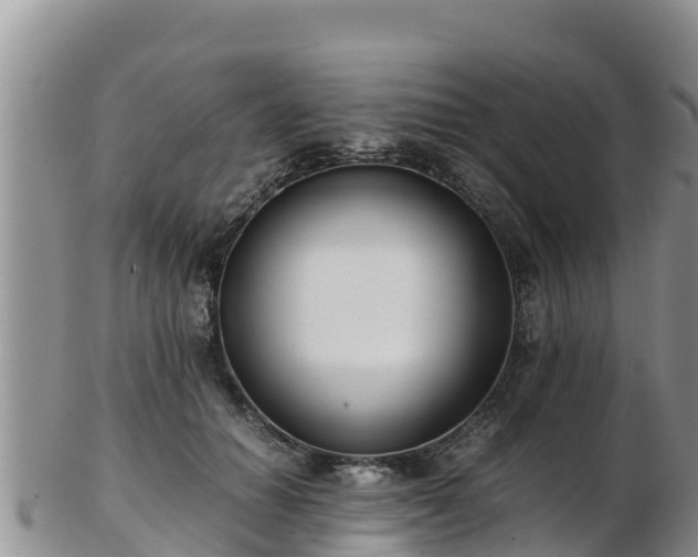 X0000103310654200809051546
