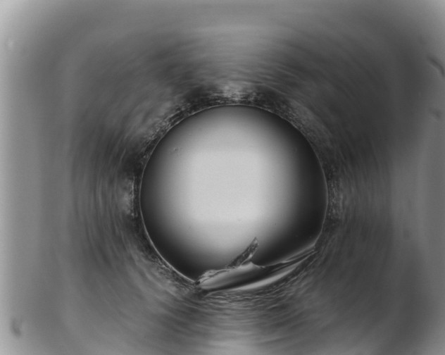 X0000103310656200809051546
