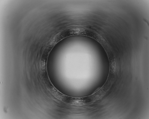 X0000103310657200809051546