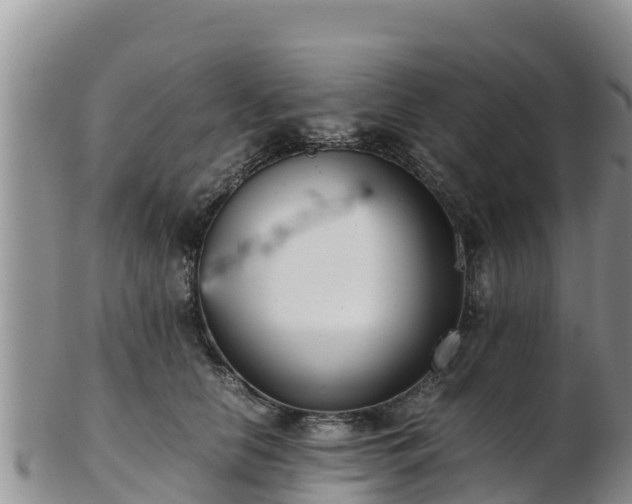 X0000103310658200809051546