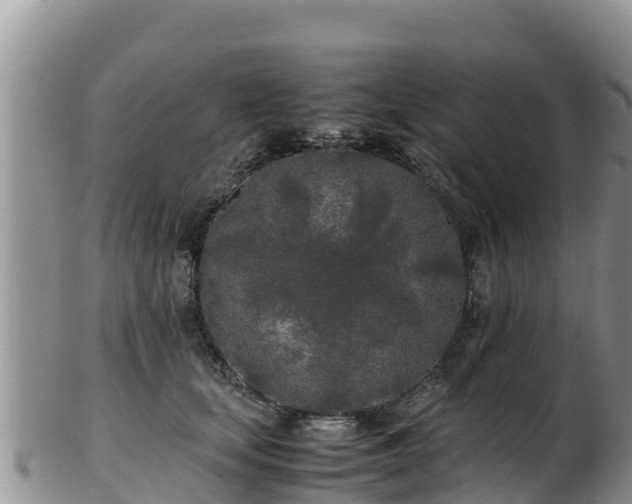 X0000103310659200809051546