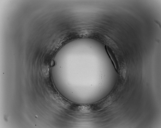 X0000103310660200809051546