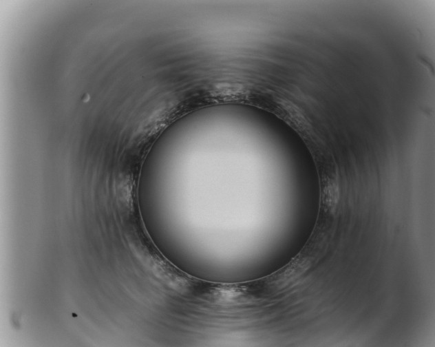 X0000103310662200809051546