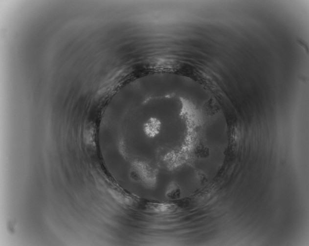X0000103310663200809051546