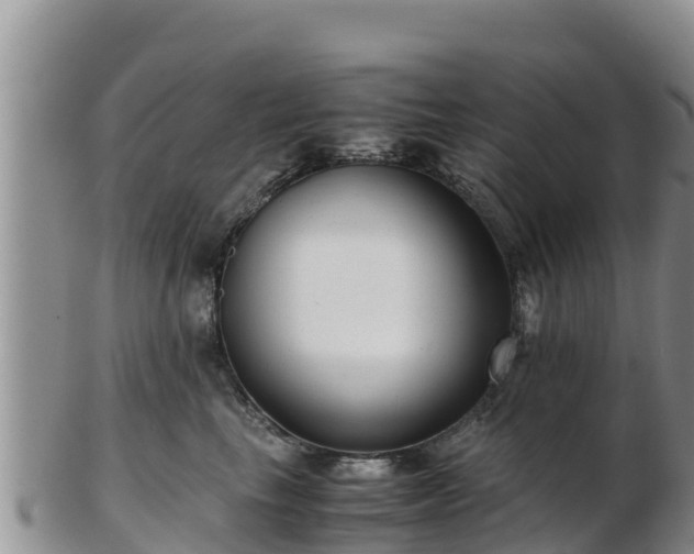 X0000103310665200809051546