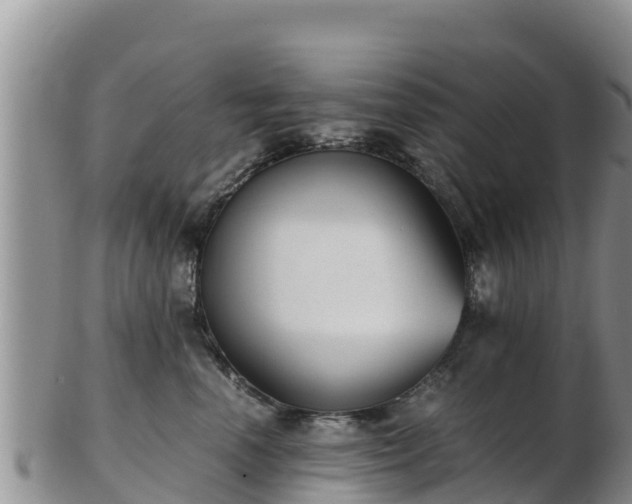 X0000103310666200809051546