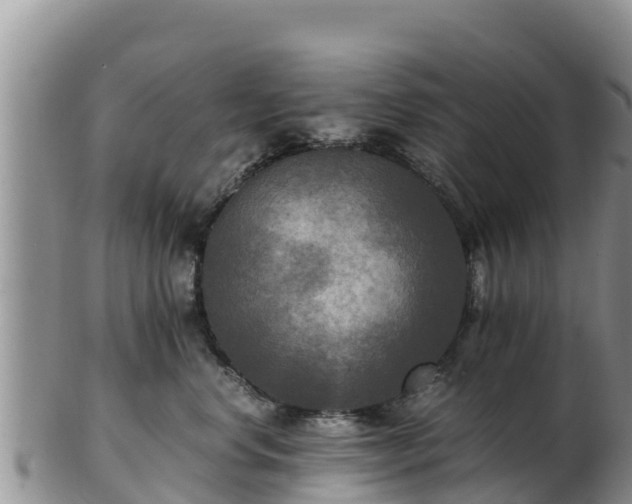 X0000103310668200809051546