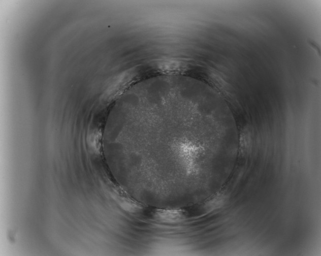 X0000103310671200809051546