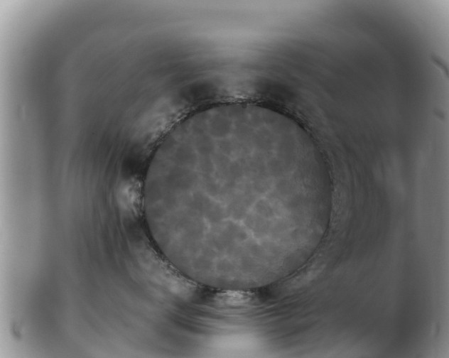 X0000103310672200809051546