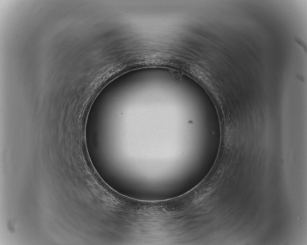 X0000103310673200809051545