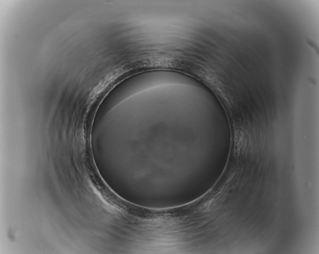 X0000103310674200809051545