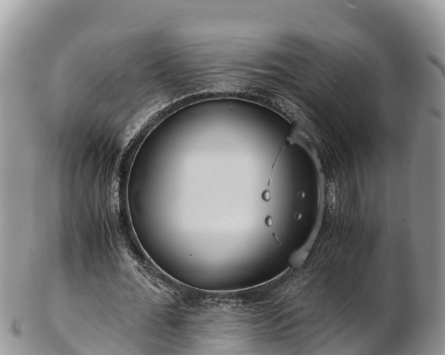 X0000103310676200809051545