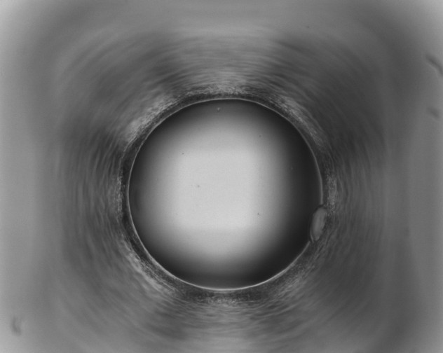 X0000103310677200809051545