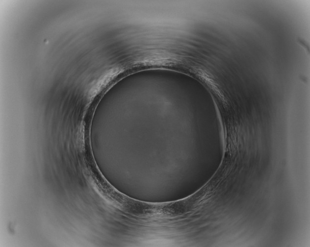 X0000103310678200809051545