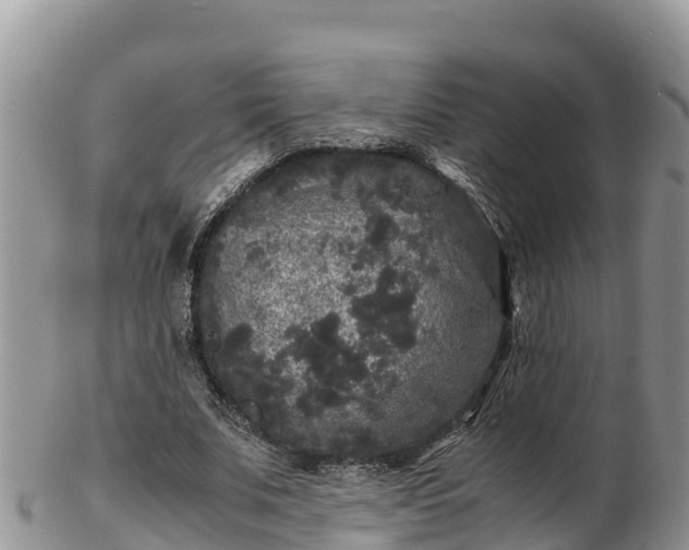 X0000103310679200809051545
