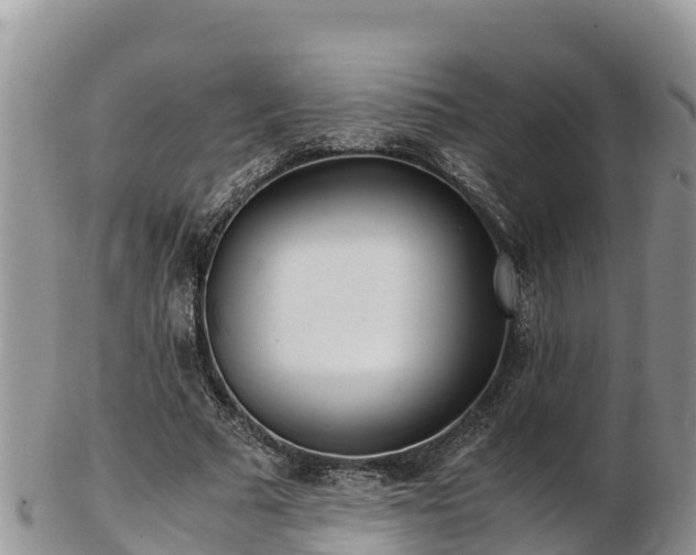 X0000103310681200809051545
