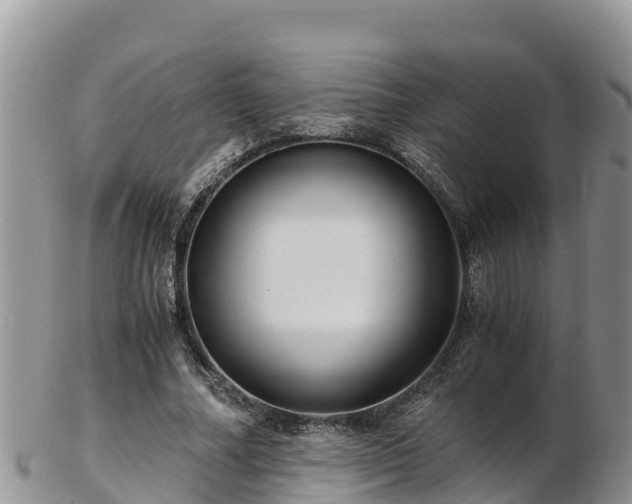 X0000103310682200809051545