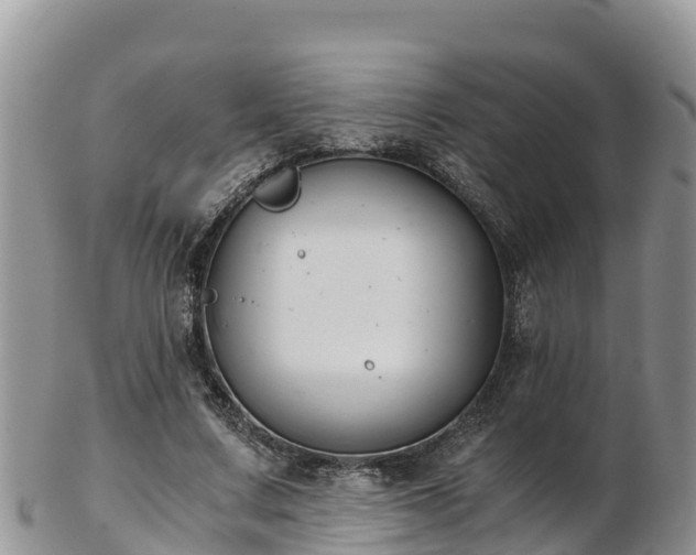 X0000103310683200809051545