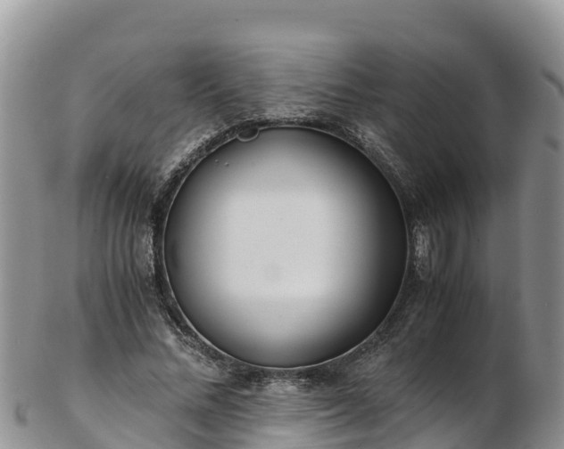 X0000103310684200809051545